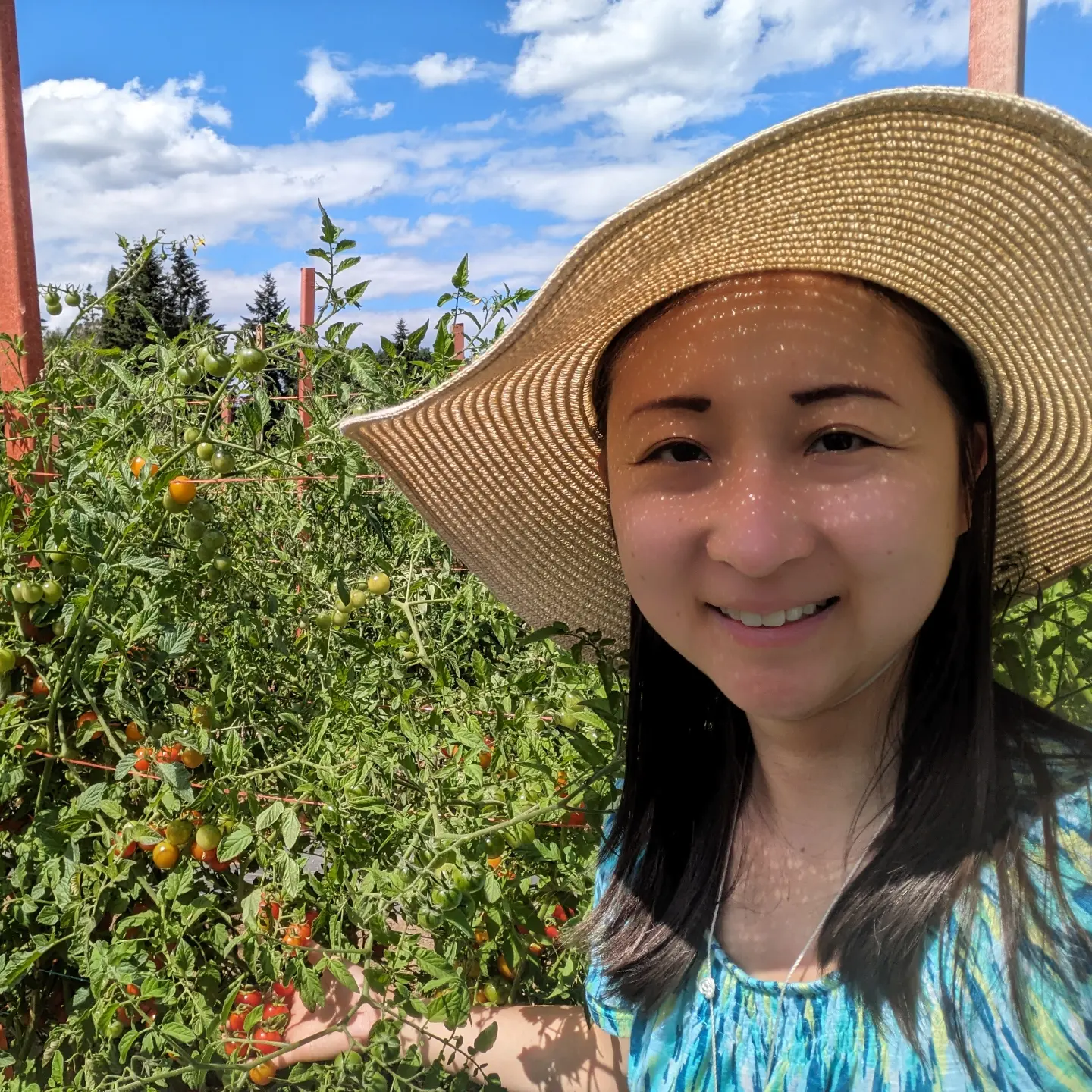 chef mia picking cherry tomatoes